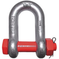 Скоба такелажна пряма зі шплінтом G-2150 1/2"